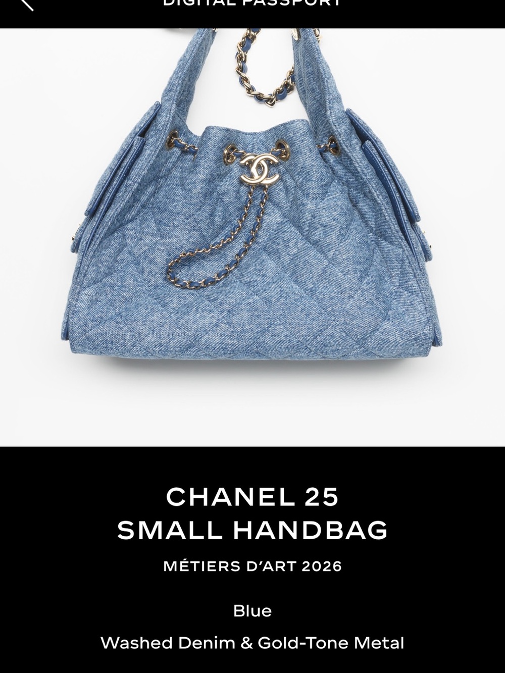 Métiers d’art CHANEL 25 small